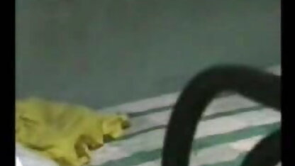 सेक्सी सुनहरे बालों वाली पत्नी इंग्लिश पिक्चर सेक्स वीडियो के साथ अच्छा स्तनों के साथ विभाजित दो काले दोस्तों