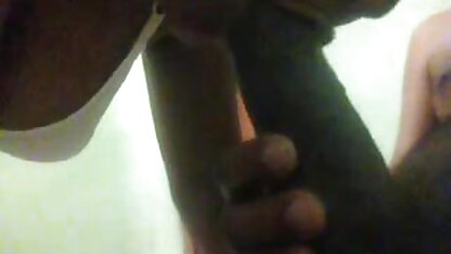 दिखाएँ. इंग्लिश ब्लू सेक्सी