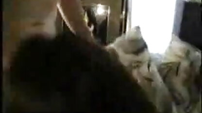 ठाठ सेक्सी इंग्लिश ब्लू मुर्गा उसके भाई 27 प्रेमिका