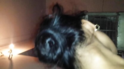 भौंरा कैसिया कार्वाल्हो और उसके प्रेमी एक दूसरे सेक्सी वीडियो इंग्लिश फिल्म को बकवास