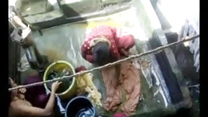 एक प्रकार की गाड़ी इवांस ब्लू फिल्म सेक्सी इंग्लिश में गधा और बिल्ली