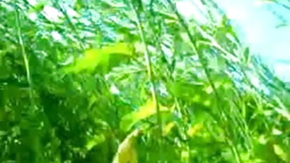 फूहड़ 3 डी हेनतई लड़की बेकार है और इंग्लिश पिक्चर सेक्सी अंग्रेजी भाला के साथ