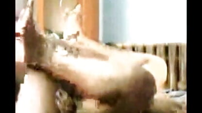 शर्मीली प्रेसली उसके बालों बिल्ली का निरीक्षण हिंदी पिक्चर सेक्सी इंग्लिश