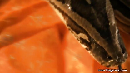 एकल वह पुरुष उसे मुर्गा जिम में सेक्सी इंग्लिश फिल्में