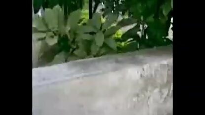 श्यामला बड़े स्तनों के ब्लू फिल्म इंग्लिश में सेक्सी साथ बिल्ली चाट सड़क पर